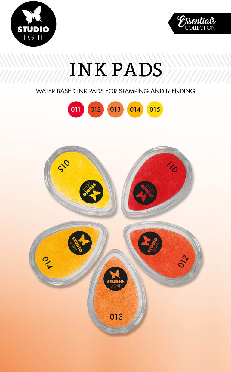 photo de l'article 727067