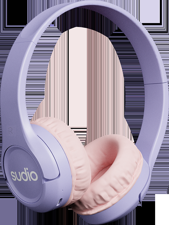 photo de l'article 310576