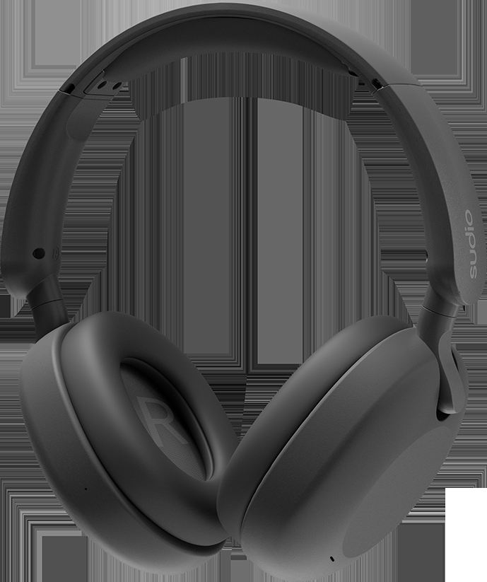 photo de l'article 310567