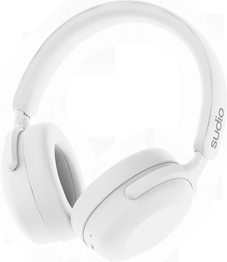 photo de l'article 310574