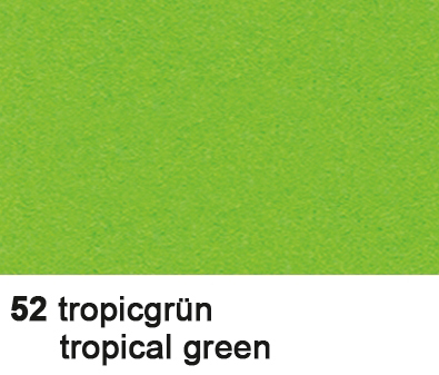 URSUS Carton photo 70x100cm 3881452 300g, vert trop. 300g, vert trop.