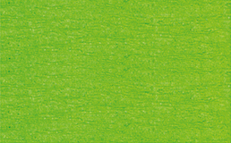 URSUS Papier crêpé 50cmx2,5m 4120353 32g, vert clair
