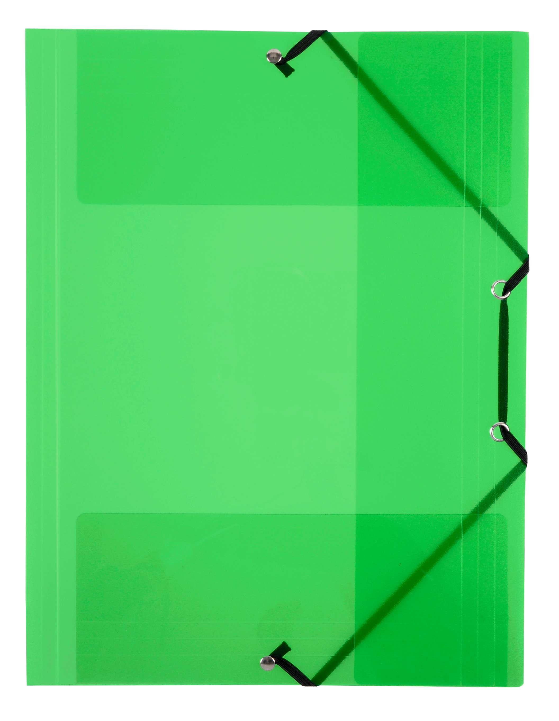 VIQUEL Pochette à élastique A4 113373-08 vert vert