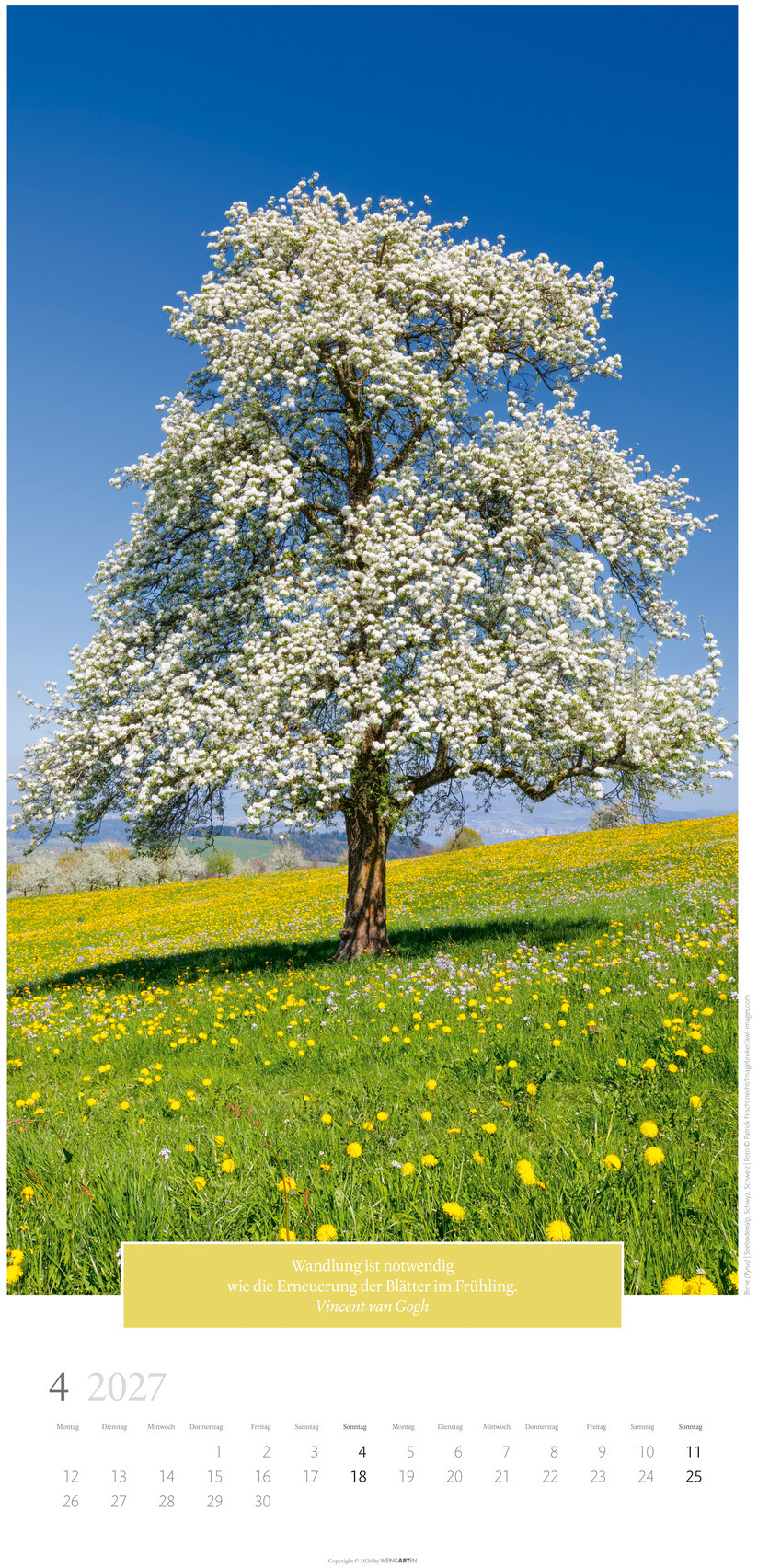 Ansicht 3