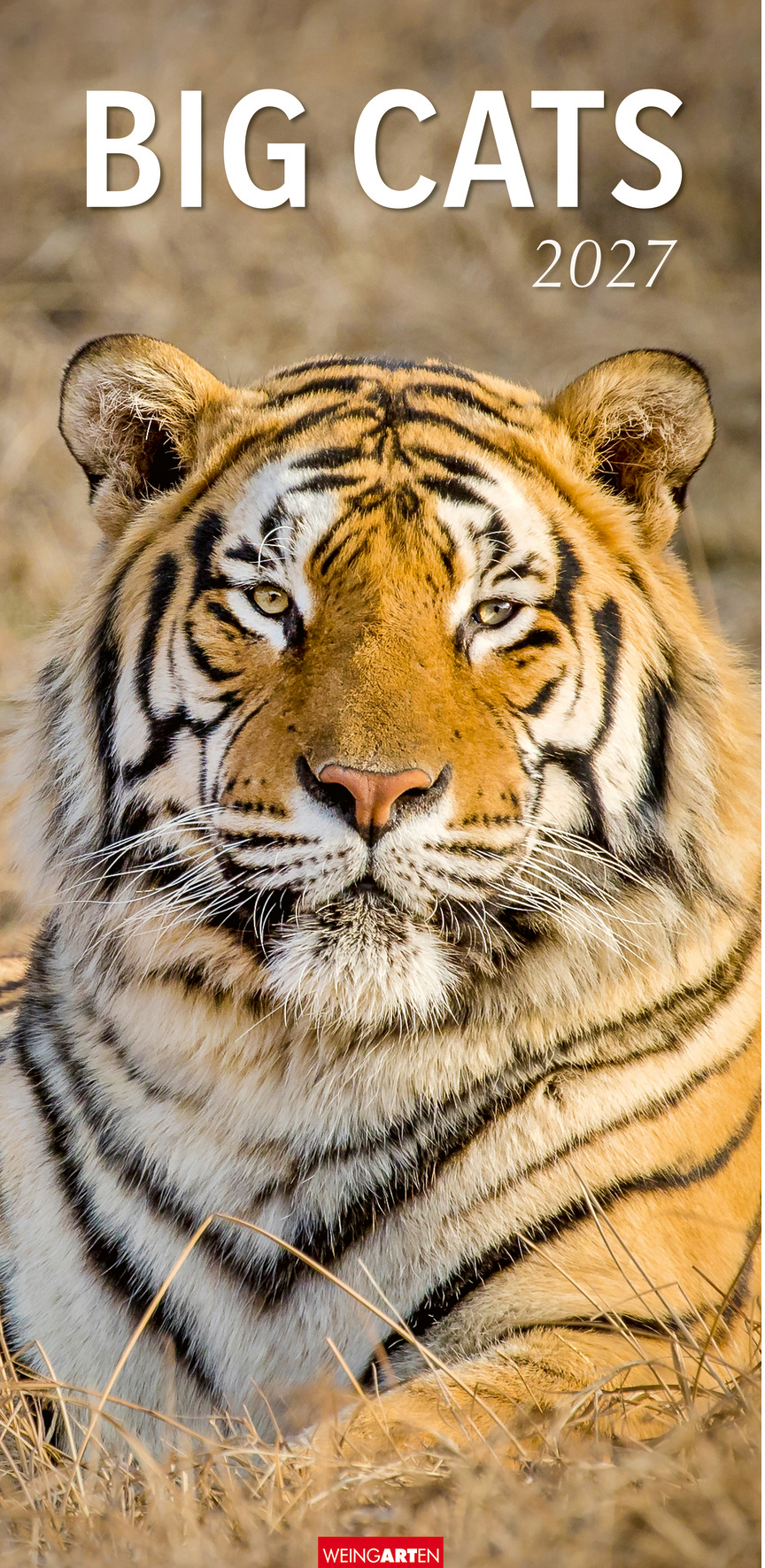 WEINGARTEN Bildkalender 2027 2958700+27 Big Cats DE 33x68cm
