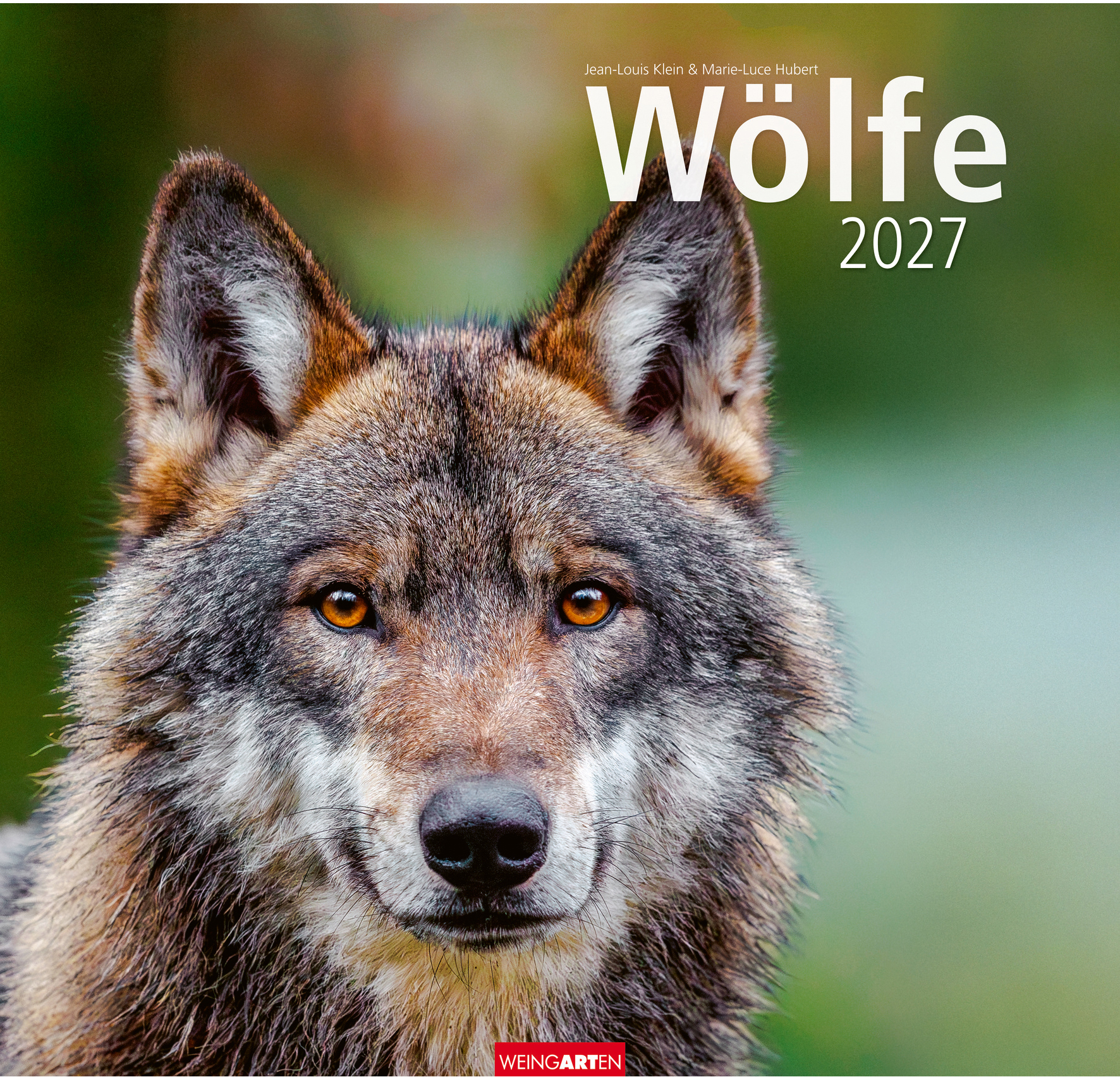 WEINGARTEN Bildkalender 2027 2963700+27 Wölfe DE 48x46cm