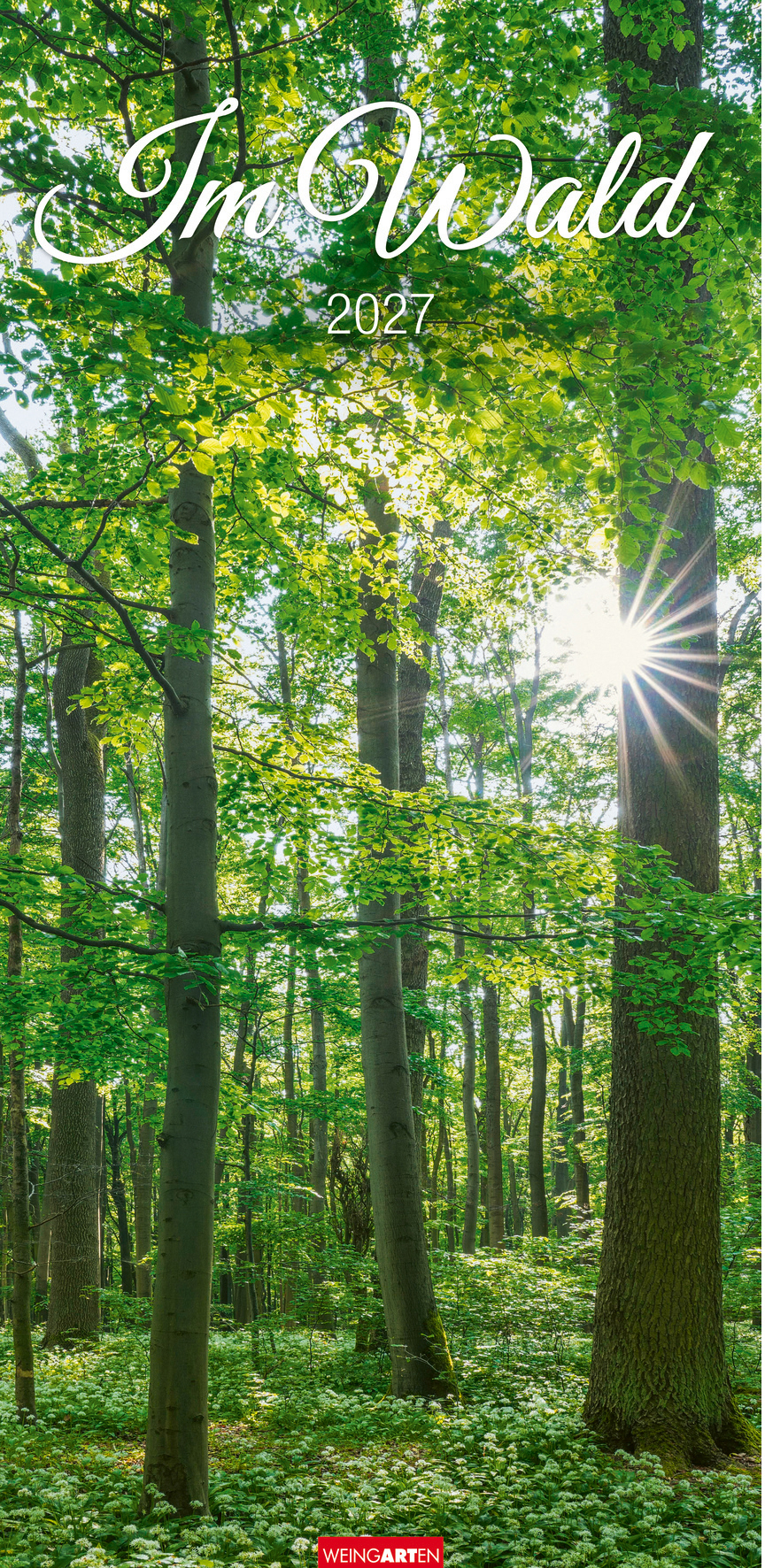 WEINGARTEN Bildkalender 2027 3150200+27 Im Wald DE 33x68cm