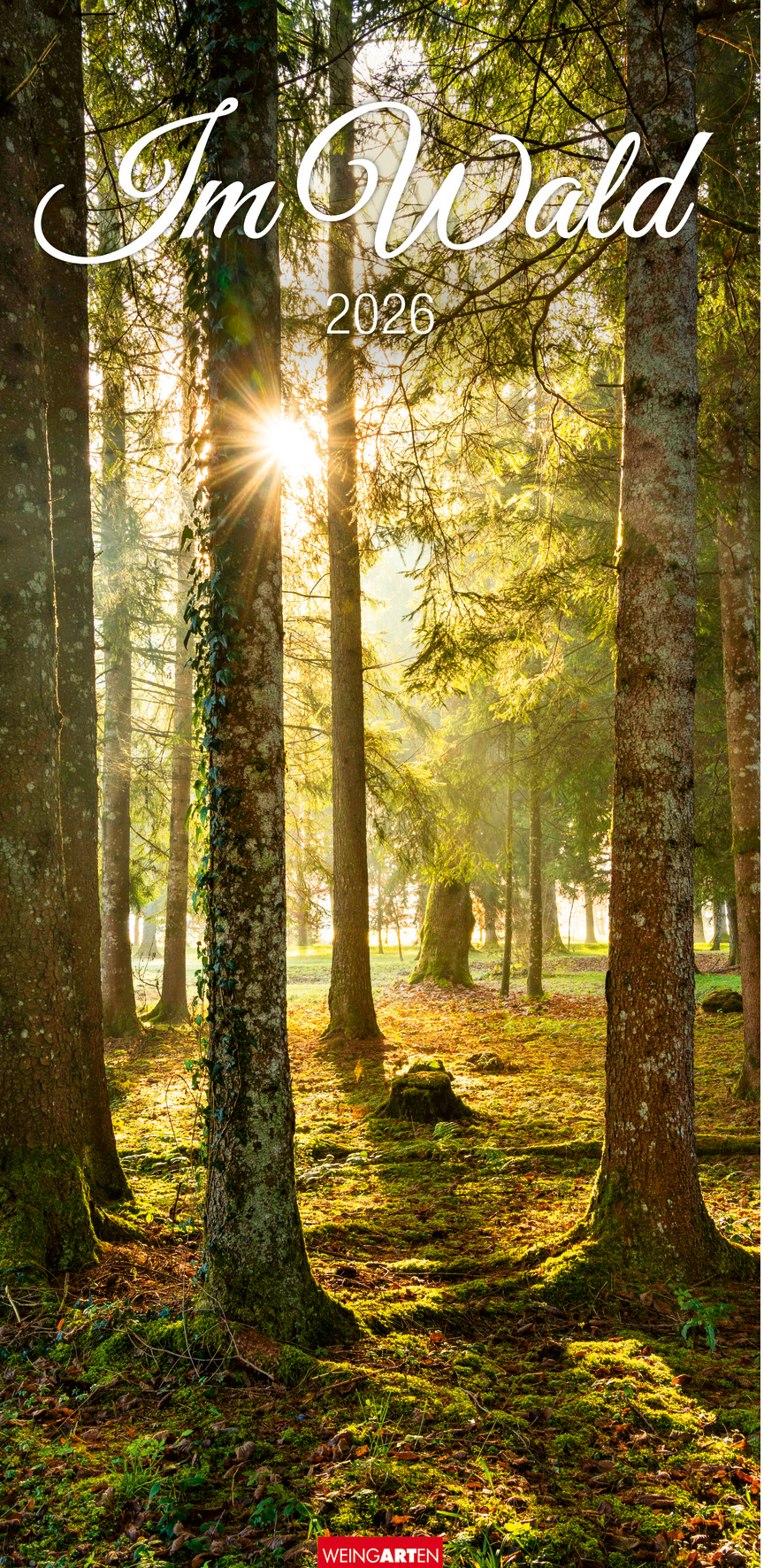 photo WEINGARTEN Calendrier 2026 3150200+26 Im Wald DE 33x68cm