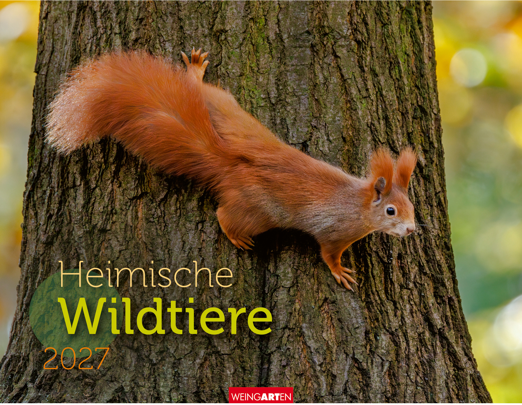 WEINGARTEN Bildkalender 2027 3312198+27 Heimische Wildtiere 44x34cm