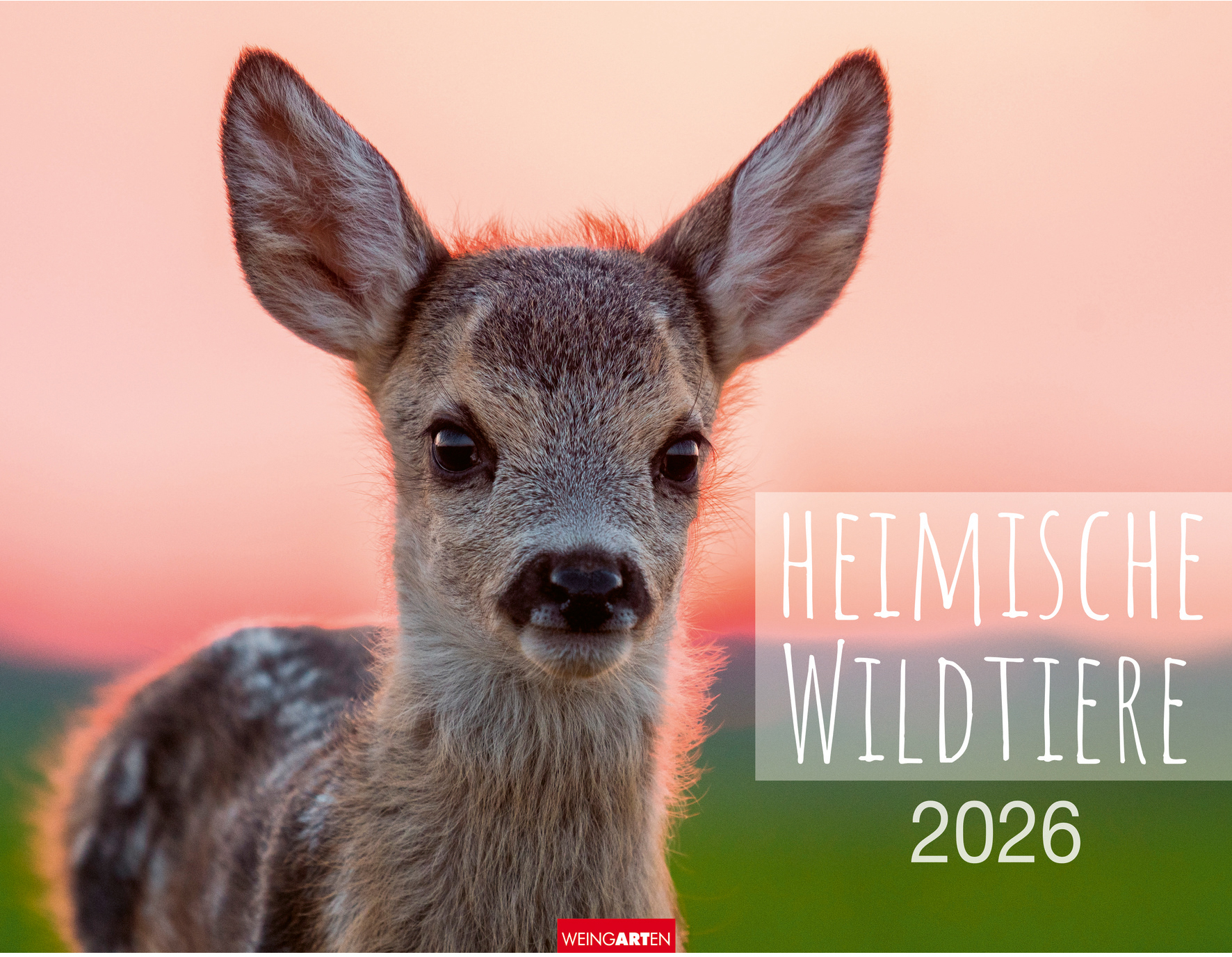 photo WEINGARTEN Calendrier 2026 3312198+26 La faune locale 44x34cm
