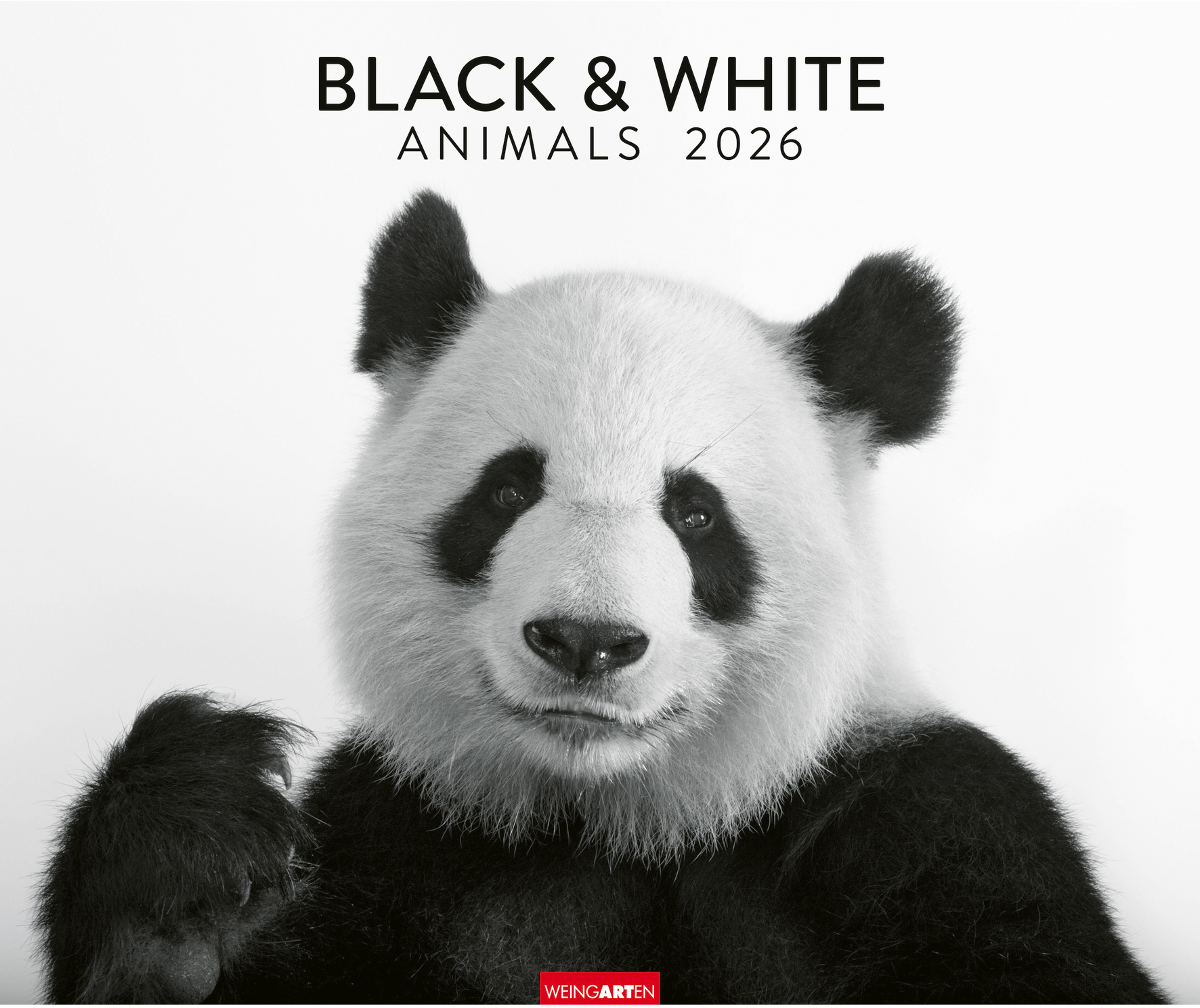 photo WEINGARTEN Calendrier 2026 3312243+26 Black&White Animals 55x46cm