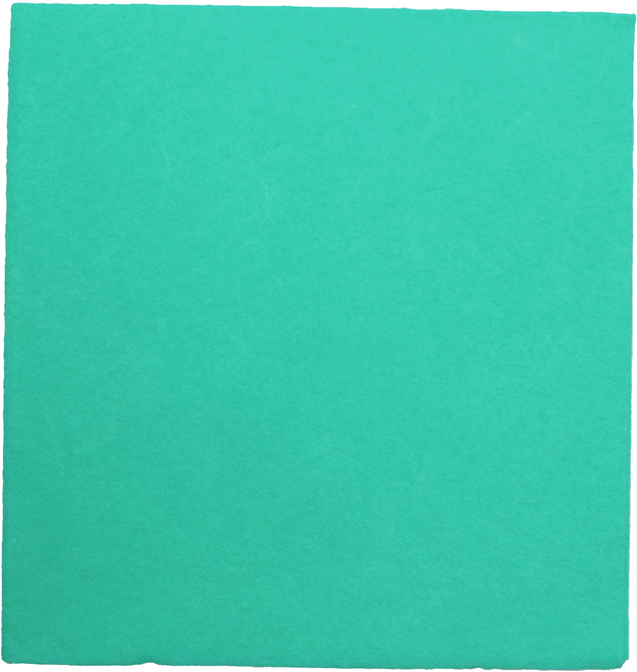 photo WEITACLEAN Chiffon multi Olivia 38x40cm 721263 vert 30 pièces