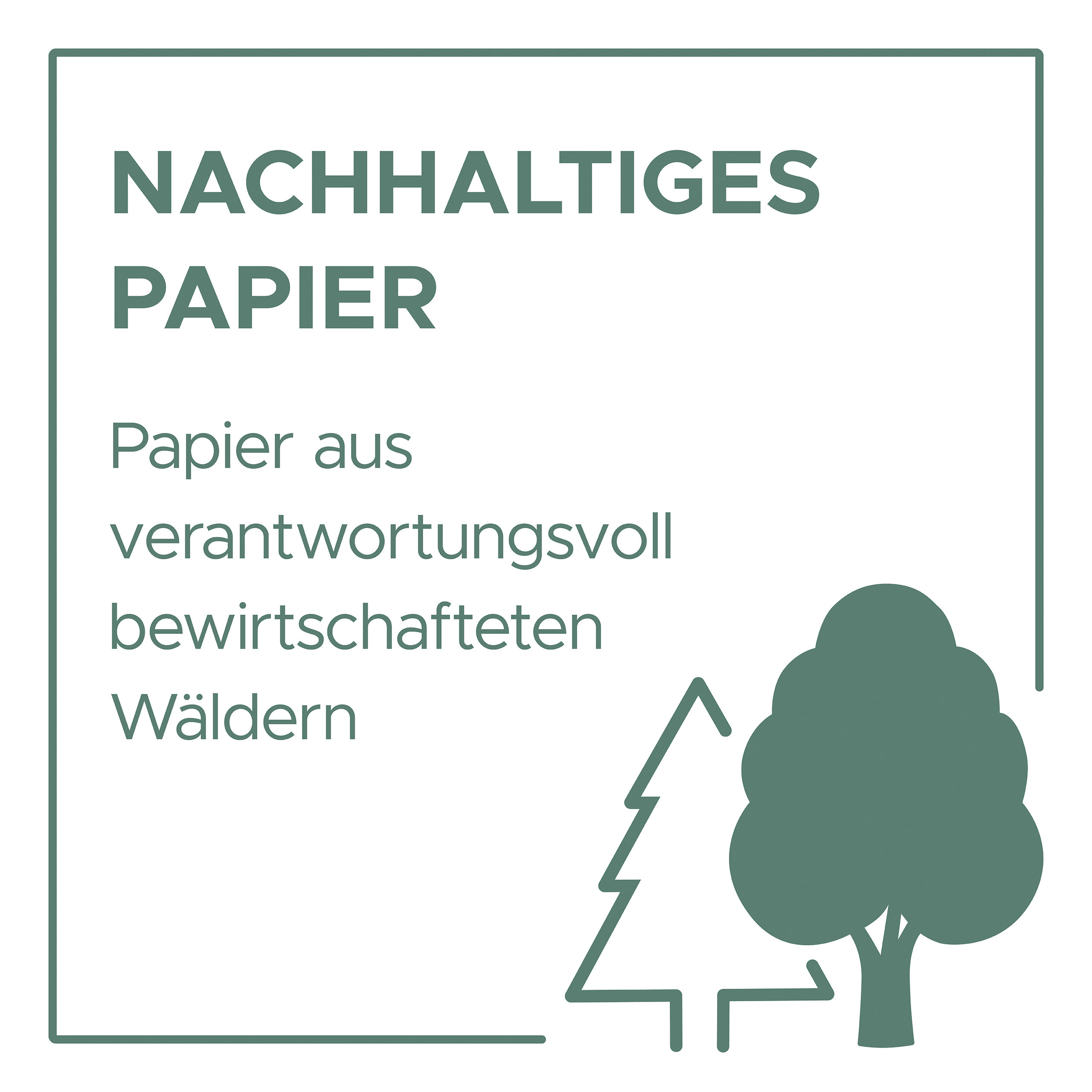 Ansicht 5