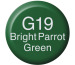 COPIC Ink Refill 21076213 G19 - Bright Parrot Green