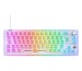 DELTACO TKL Gaming Keyboard mech GAM160TCH transparent RGB CH-Layout
