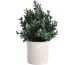 EGLO Kunstpflanze 23cm 428028 grün, im Topf