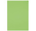 ELCO Organisationsmappe Ordo A4 29466.62 discreta, int.grün 100 Stück