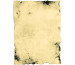 EROLA Antikpapier A4 1850/10 170g 10 Stück