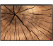 KOLMA Schreibunterlage 50x34cm 35.575.20 Holz