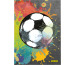 ONLINE Kladde Soccer A5 10173/6 80g, 96 Blatt, dotted