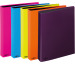 PAGNA Ringbuch A4 20601-00 farbig sortiert