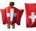 ROOST Fahne Schweiz 999623 90x140cm