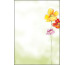 SIGEL Motiv-Papier A4 DP123 Spring Flowers 90g,50 Blatt
