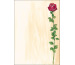 SIGEL Designpapier A4 DP695 Rose Bloom, 90g 25 Blatt