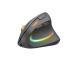 SPEEDLINK PIAVO PRO Illum. Ergo Mouse SL630026B Wireless,Rechargeable,Black