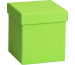 STEWO Geschenkbox One Colour 255178289 grün hell 11x11x12cm