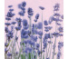 STEWO Serviette Violet 257254103 violett 33x33cm