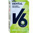 V6 Dental Green Tea Jasmine 4046 1x24g